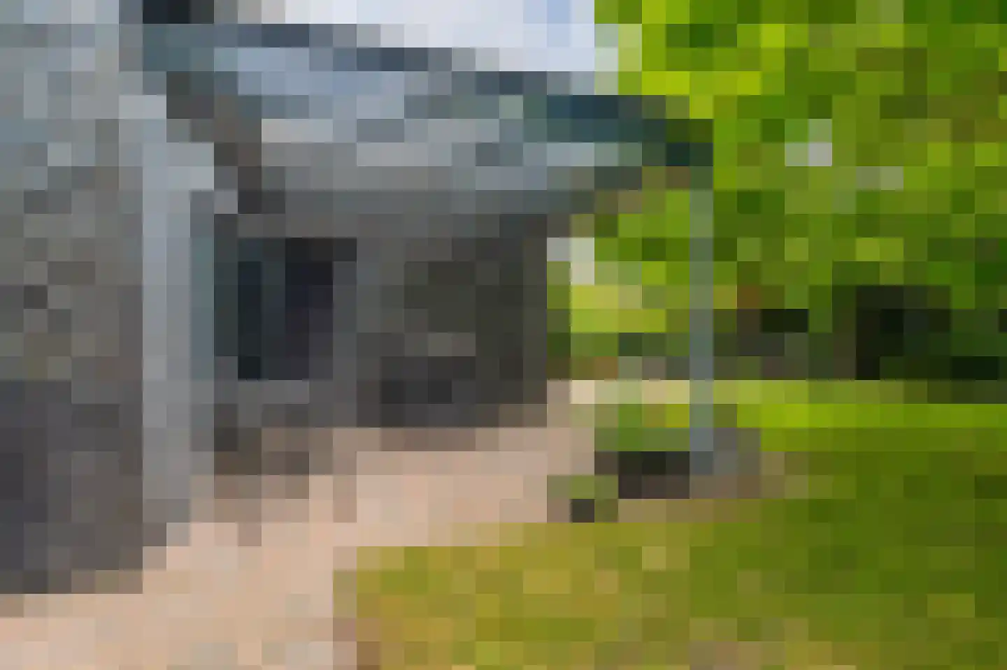 Buitenlust 68 Sappemeer thumbnail 32