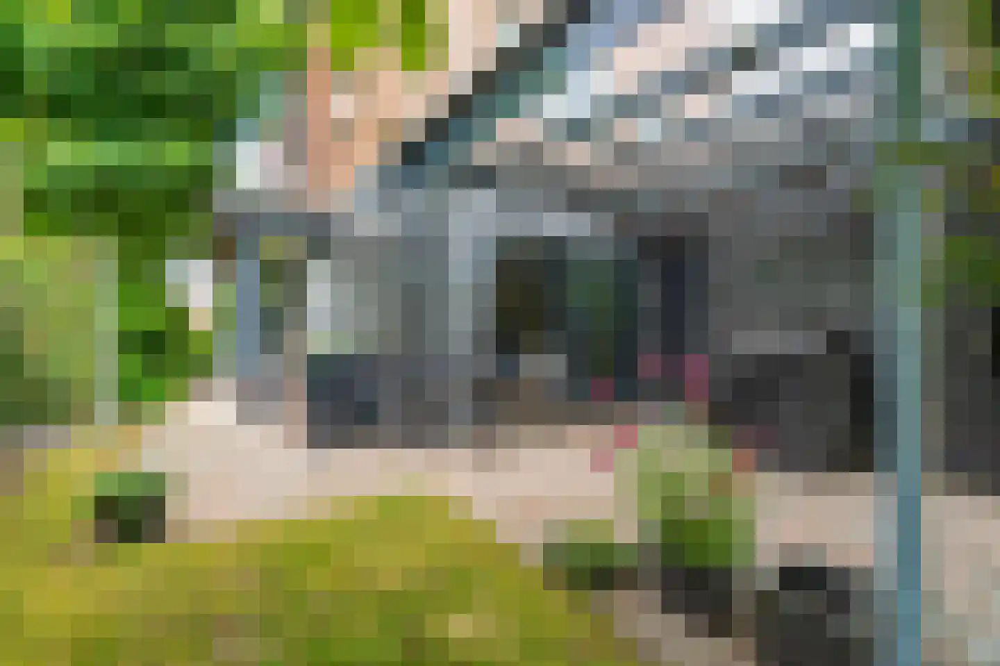 Buitenlust 68 Sappemeer thumbnail 33