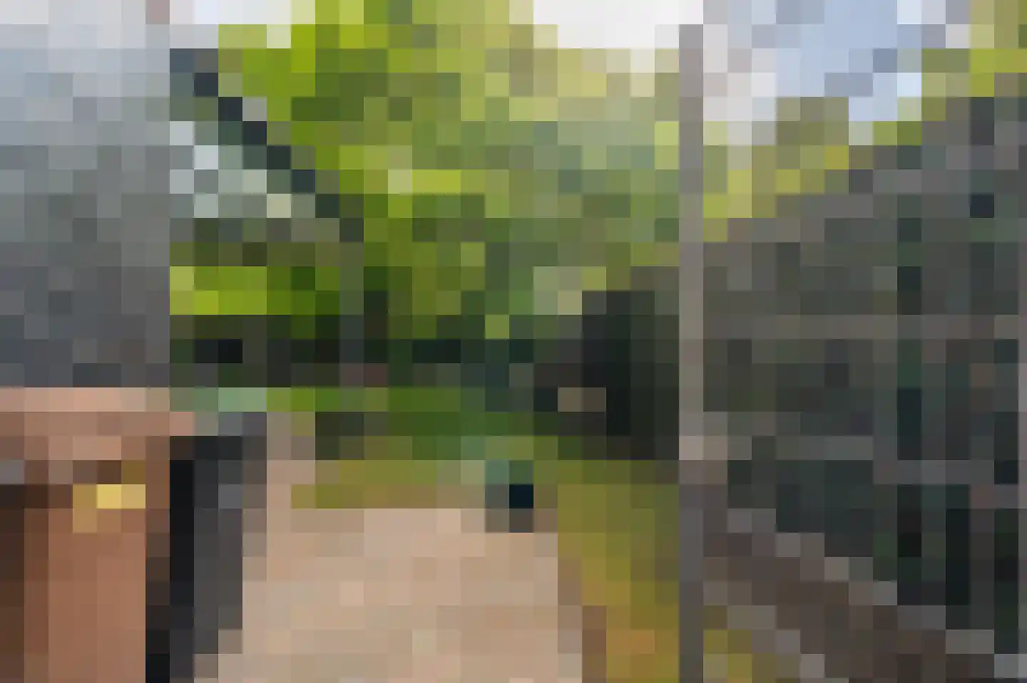 Buitenlust 68 Sappemeer thumbnail 34