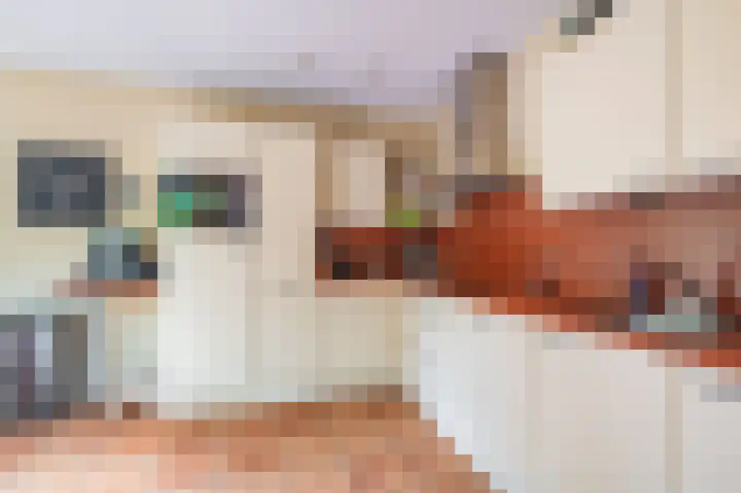 Buitenlust 68 Sappemeer thumbnail 7
