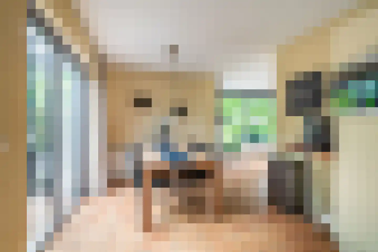 Buitenlust 68 Sappemeer thumbnail 8