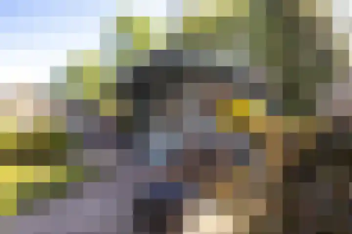 Buitenlust 82 Sappemeer thumbnail 16