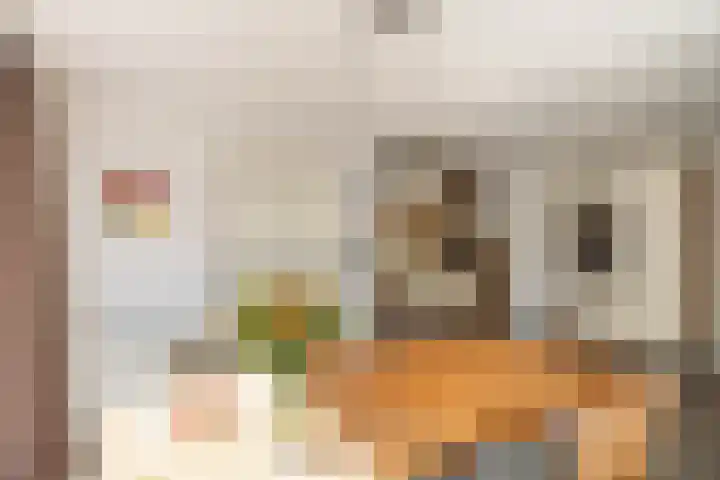Buitenlust 82 Sappemeer thumbnail 19
