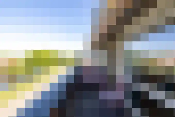 Buitenlust 82 Sappemeer thumbnail 37