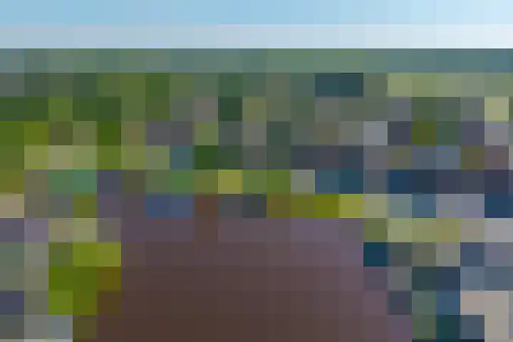 Buitenlust 82 Sappemeer thumbnail 38