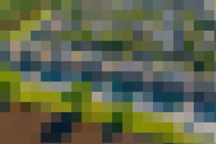 Buitenlust 82 Sappemeer thumbnail 39