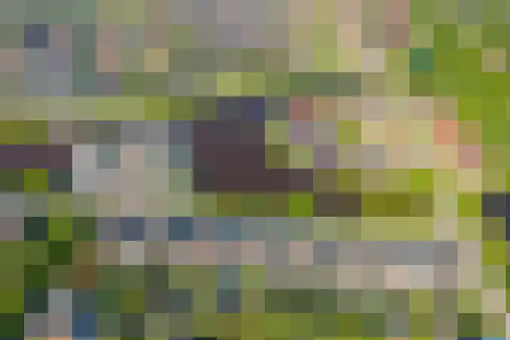 Buitenlust 82 Sappemeer thumbnail 40