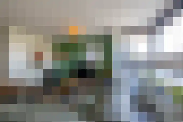 Buitenlust 82 Sappemeer thumbnail 6