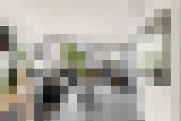 Buitenmolen 7 Zevenaar thumbnail 14