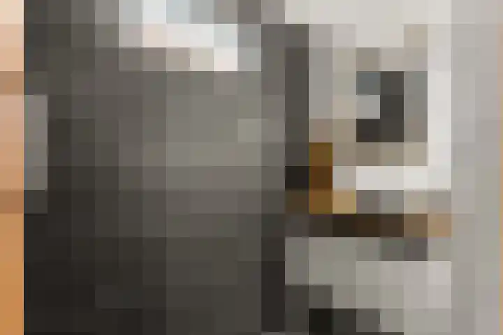 Buitenmolen 7 Zevenaar thumbnail 30