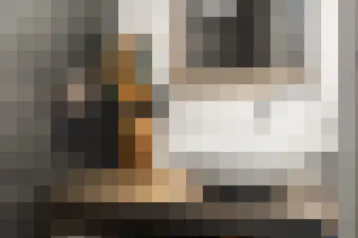Buitenmolen 7 Zevenaar thumbnail 31