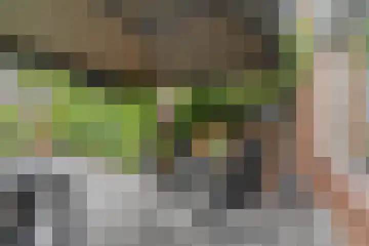 Buitenmolen 7 Zevenaar thumbnail 34