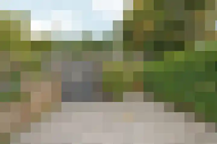 Buitenmolen 7 Zevenaar thumbnail 36
