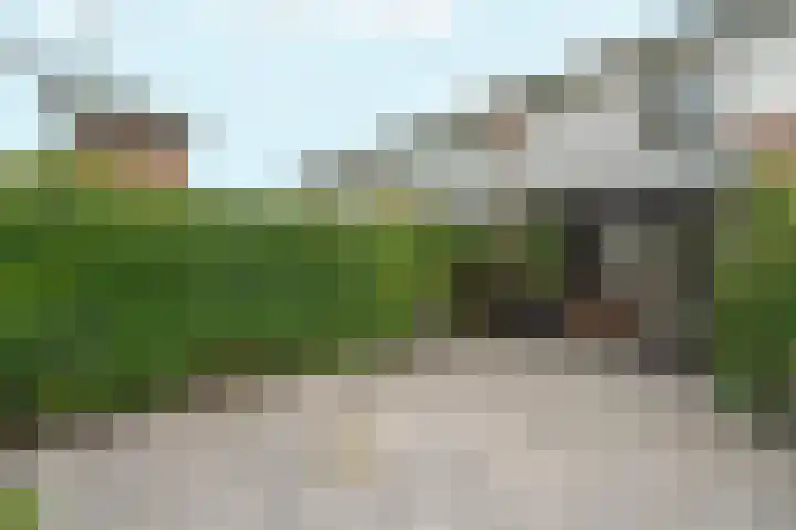 Buitenmolen 7 Zevenaar thumbnail 38