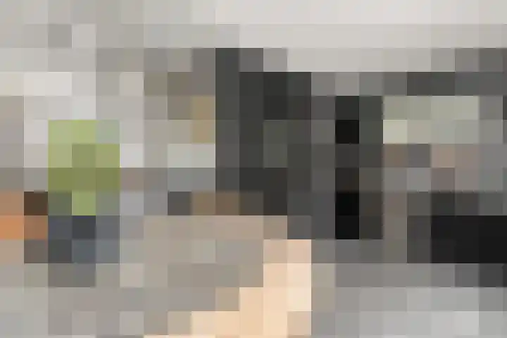 Buitenmolen 7 Zevenaar thumbnail 4