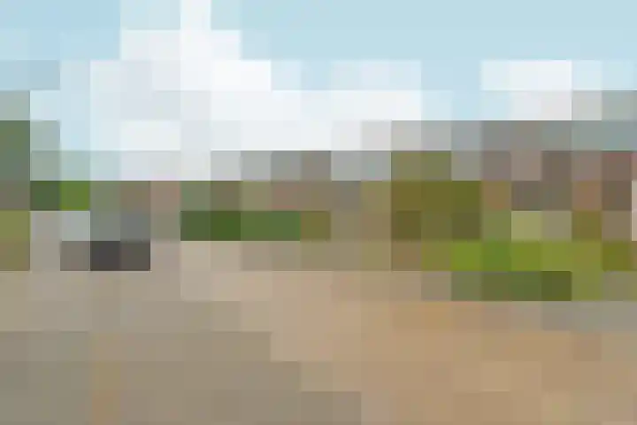 Buitenmolen 7 Zevenaar thumbnail 40