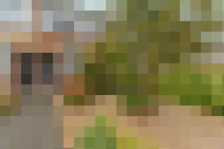 Buitenmolen 7 Zevenaar thumbnail 41