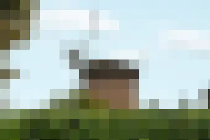Buitenmolen 7 Zevenaar thumbnail 43