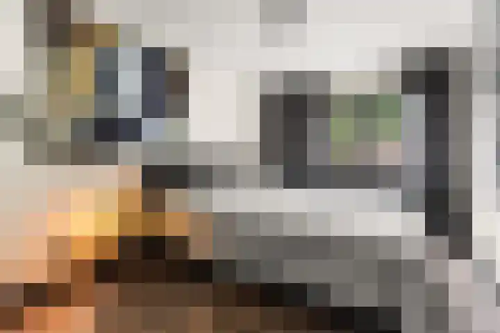 Buitenmolen 7 Zevenaar thumbnail 5