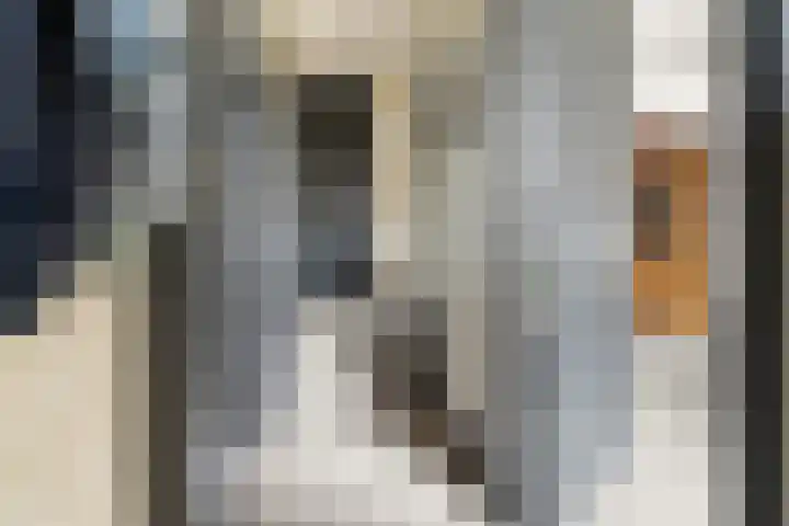 Buitenmolen 7 Zevenaar thumbnail 6