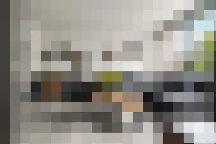 Buitenmolen 7 Zevenaar thumbnail 7