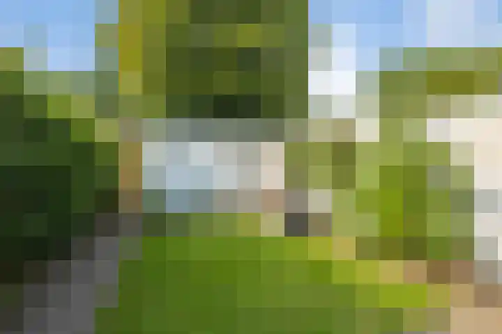 Buitenmolen 9 Zevenaar thumbnail 17