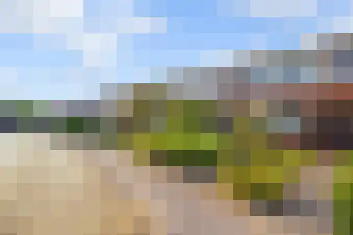 Buitenmolen 9 Zevenaar thumbnail 5