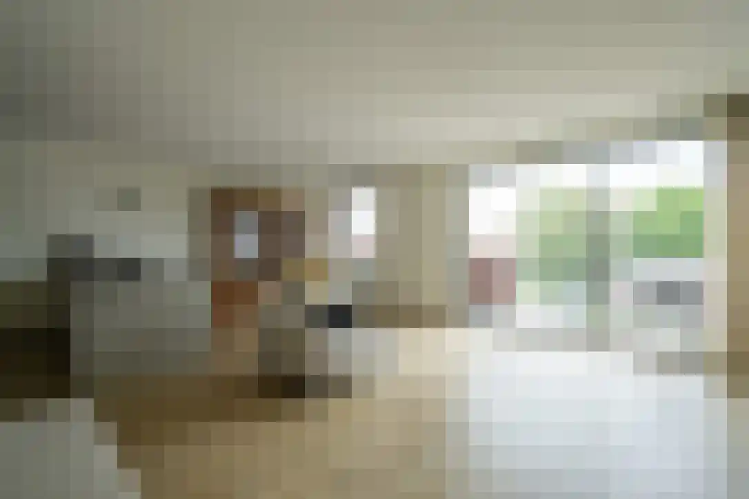 Buitenmolenstraat 42 Culemborg thumbnail 30