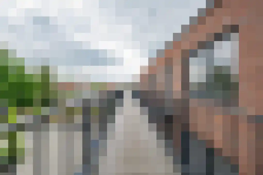 Buitenmolenstraat 42 Culemborg thumbnail 7