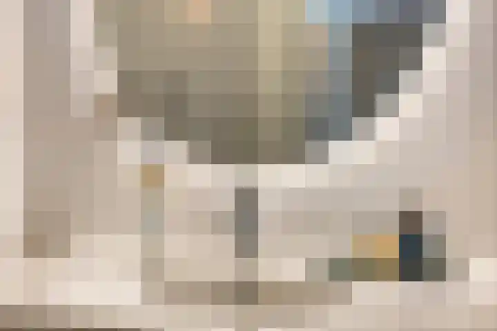 Buitenom 107 Zoetermeer thumbnail 19