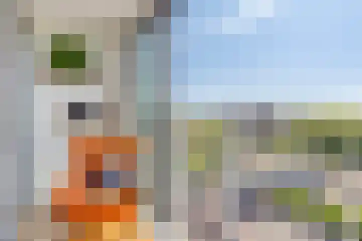 Buitenom 107 Zoetermeer thumbnail 22