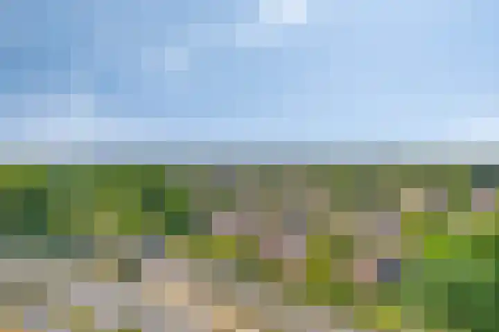 Buitenom 107 Zoetermeer thumbnail 23