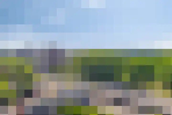 Buitenom 107 Zoetermeer thumbnail 24