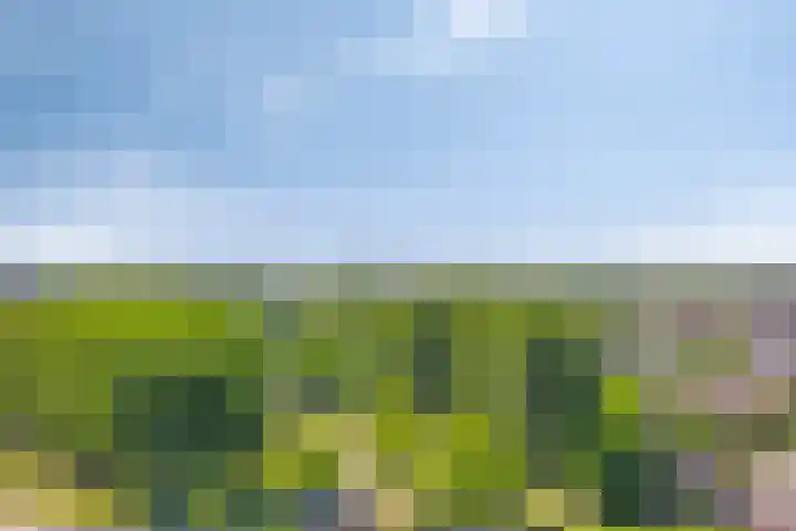 Buitenom 107 Zoetermeer thumbnail 25