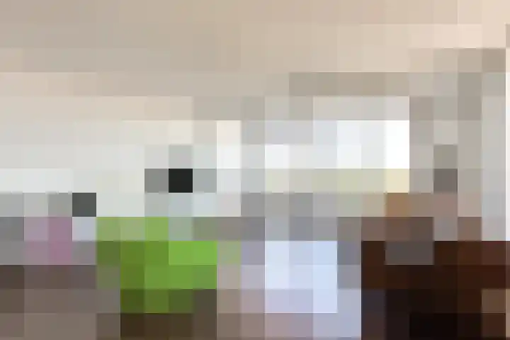 Buitenom 111 Zoetermeer thumbnail 10