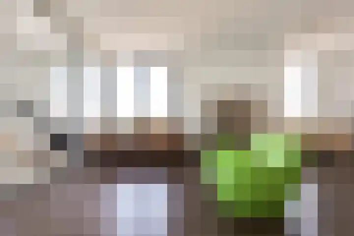Buitenom 111 Zoetermeer thumbnail 11