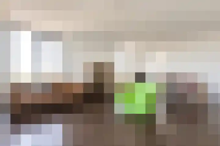 Buitenom 111 Zoetermeer thumbnail 12