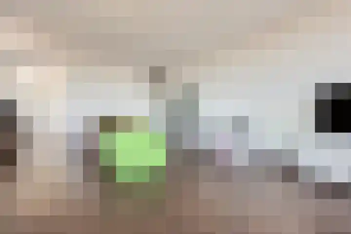 Buitenom 111 Zoetermeer thumbnail 13