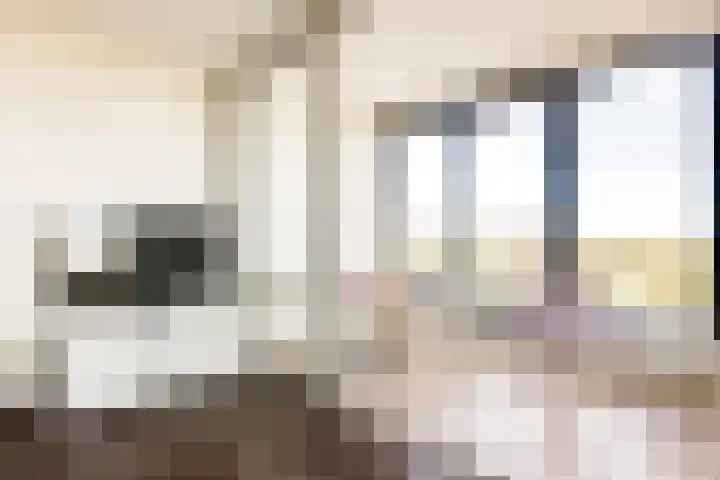 Buitenom 111 Zoetermeer thumbnail 14