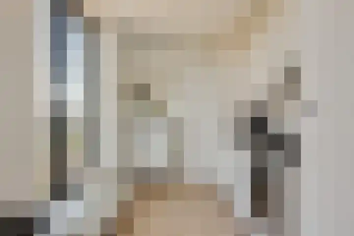 Buitenom 111 Zoetermeer thumbnail 18