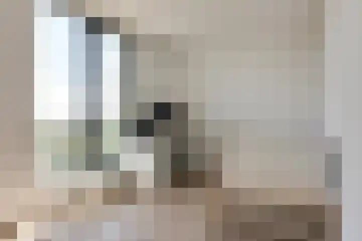Buitenom 111 Zoetermeer thumbnail 26