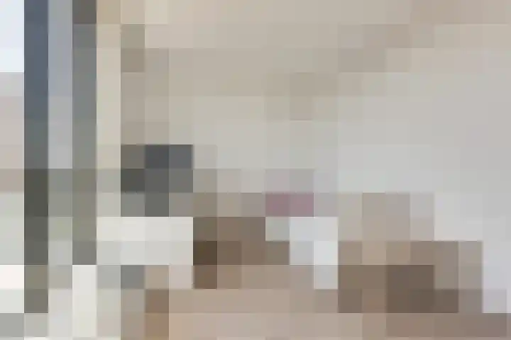 Buitenom 111 Zoetermeer thumbnail 27