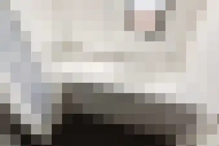 Buitenom 111 Zoetermeer thumbnail 30