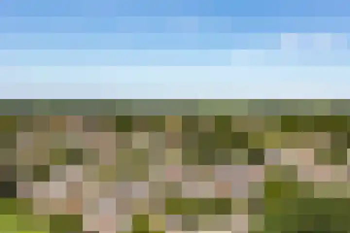 Buitenom 111 Zoetermeer thumbnail 35