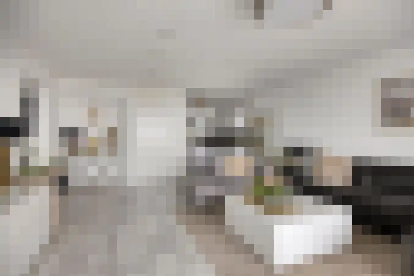 Buitenom 131 Zoetermeer thumbnail 11