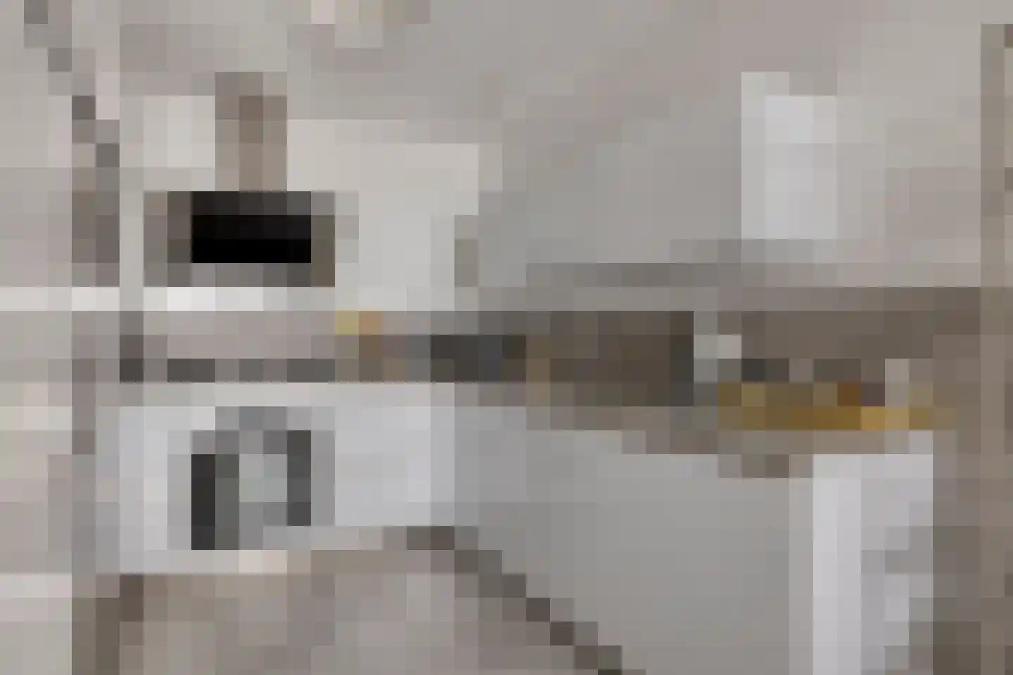 Buitenom 131 Zoetermeer thumbnail 12