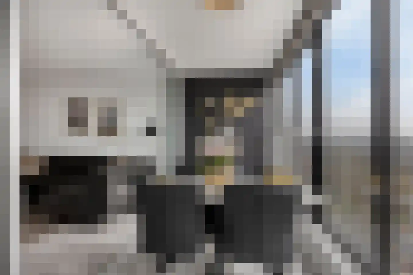 Buitenom 131 Zoetermeer thumbnail 17