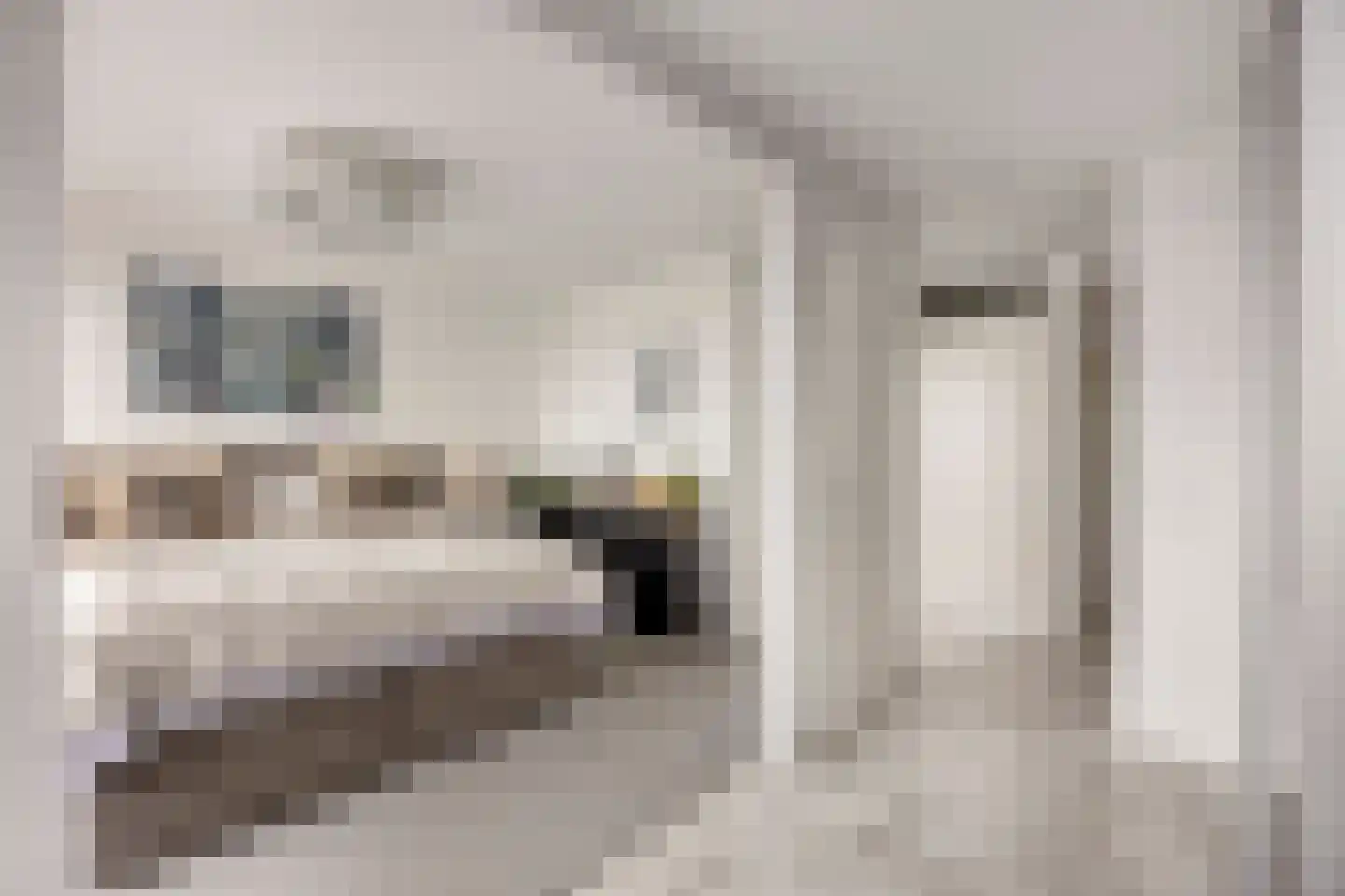 Buitenom 131 Zoetermeer thumbnail 24