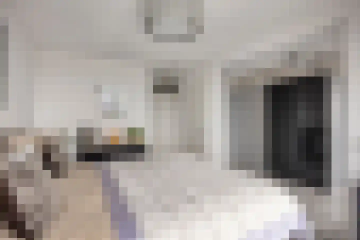 Buitenom 131 Zoetermeer thumbnail 26