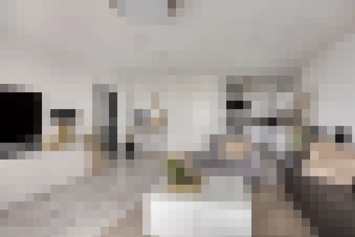Buitenom 131 Zoetermeer thumbnail 5